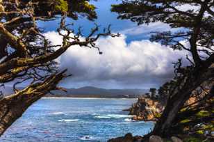 Point Lobos-3416.jpg